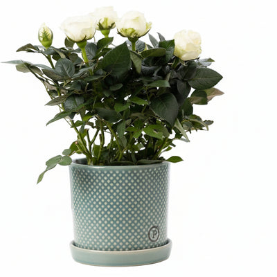 Rosa White Kunstblume im P&PURE Keramiktopf von Lauren Ceramics
