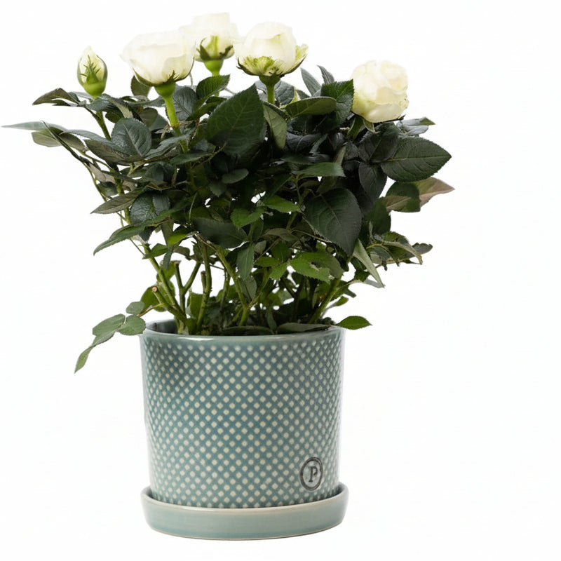 Rosa White Kunstblume im P&PURE Keramiktopf von Lauren Ceramics