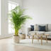 Areca-Palme (Dypsis Lutescens) Ø21cm | Höhe 130cm Bild 6