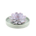 ROOTLESS Echeveria Lilacina Deko-Schale Grün Ø20cm - Wurzellose Sukkulente Bild 1