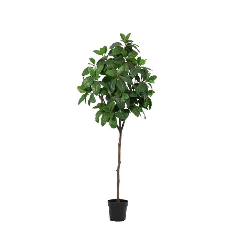 Kunst Magnolie Künstliche Pflanze 190cm Weiss