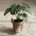 Giraffe Übertopf 11/14x11 cm - Braun - Tierisches Deko-Highlight Bild 4