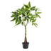 Künstliche Pachira Aquatica (Geldbaum) - 90 cm - Lebensecht & pflegeleicht Bild 1