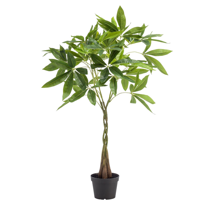 Künstliche Pachira Aquatica (Geldbaum) - 90 cm - Lebensecht & pflegeleicht
