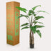Artificial Alocasia, 150 cm, evergreen, easy-care Bild 5
