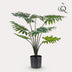 Künstliche Philodendron Pflanze, 60 cm – Natürliche Deko für Ihr Zuhause Bild 3
