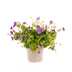 Geranium Rozanne 'Purple', Ø19cm, 20-30cm Bild 1
