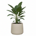 Pot Jumbo Patt Beige Washed D73 x H61 Bild 3