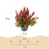GreenboutiQ - Gartenpflanze - Leucothoe Little Flame - Rot - 2 Pflanzen - Immergrün - Pflegeleicht - Topf 17cm Höhe 45cm Bild 3