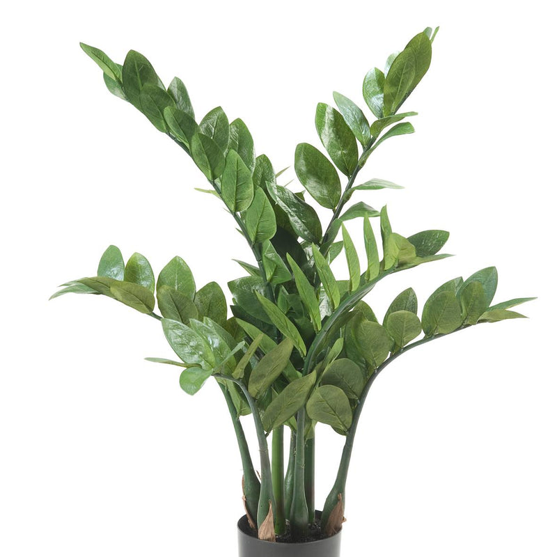Künstliche Zamioculcas Zimmerpalme, 70 cm