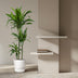 Dracaena Janet Craig – 150 cm – ø24 Bild 3