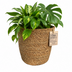 Seegraskorb P21: Handgeflochten, 21cm Topf, 20cm H, Natur Bild 2