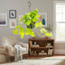 Epipremnum Golden Pothos (Scindapsus) - Hanging/Climbing Plant, Ø15, ↕25cm Bild 3