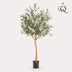 Kunstbaum Olive Olea europaea - 180 cm Bild 3