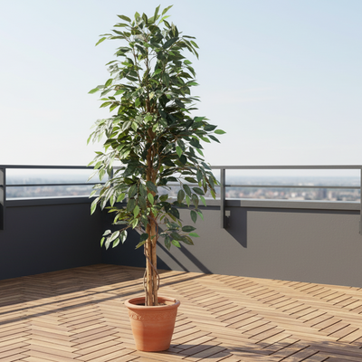 Künstlicher Ficus Benjamina Kunstbaum 160cm – Pflegeleicht & Dekorativ