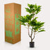 Artificial Fig Tree Ficus Carica, 95 cm – Mediterranean Flair for Your Home Bild 5
