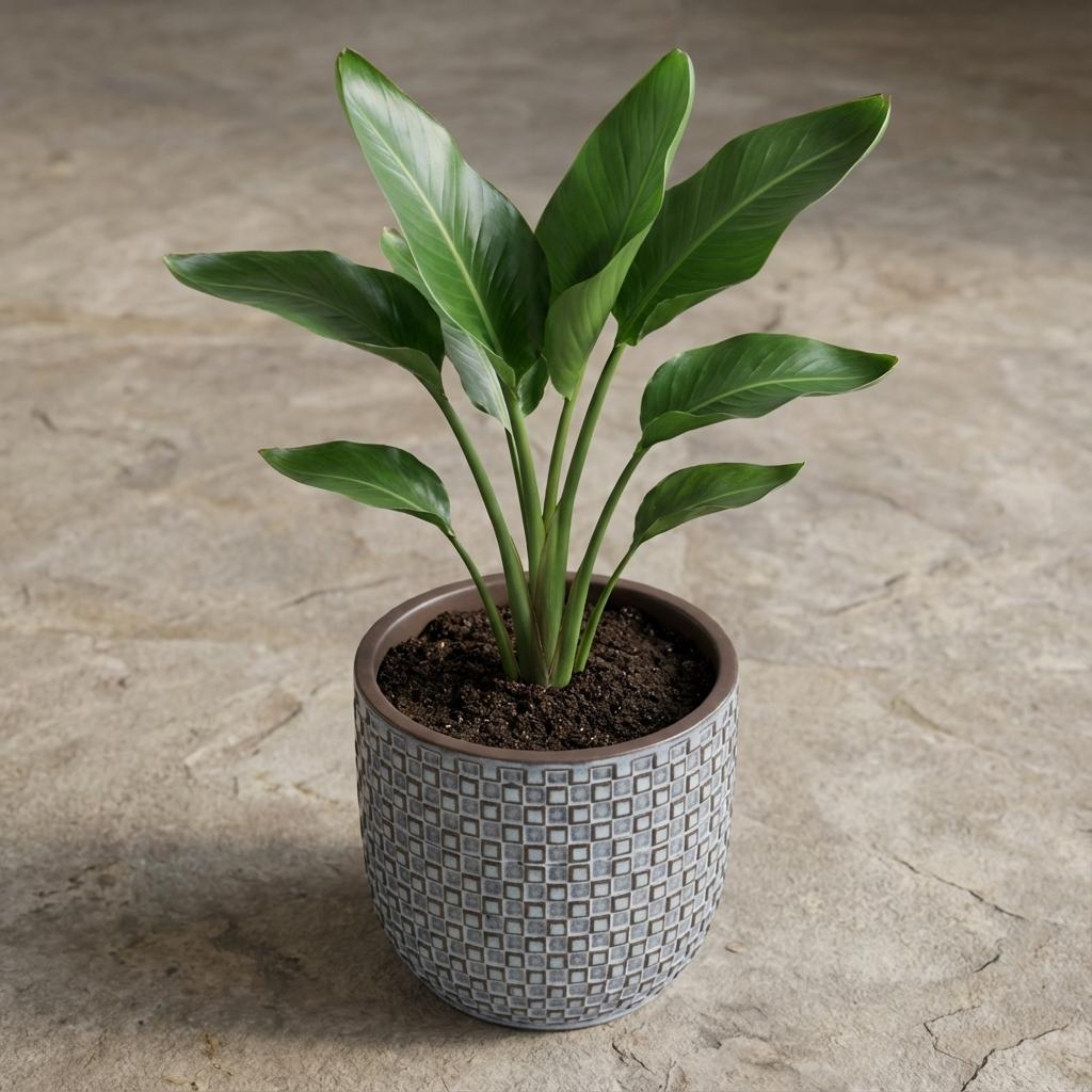 Mini pot relief blauw D7