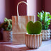 Love Set: Heart Plant, Pot, Card & Gift Bag Bild 5