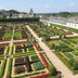 GreenboutiQ Boxwood Hedge 'Babylon Beauty' - 6 plants for 1m Bild 8