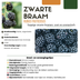 „Früchte-Oase“ BIO Obstpflanzen-Mix – Set mit 5 verschiedenen Sorten Bild 10