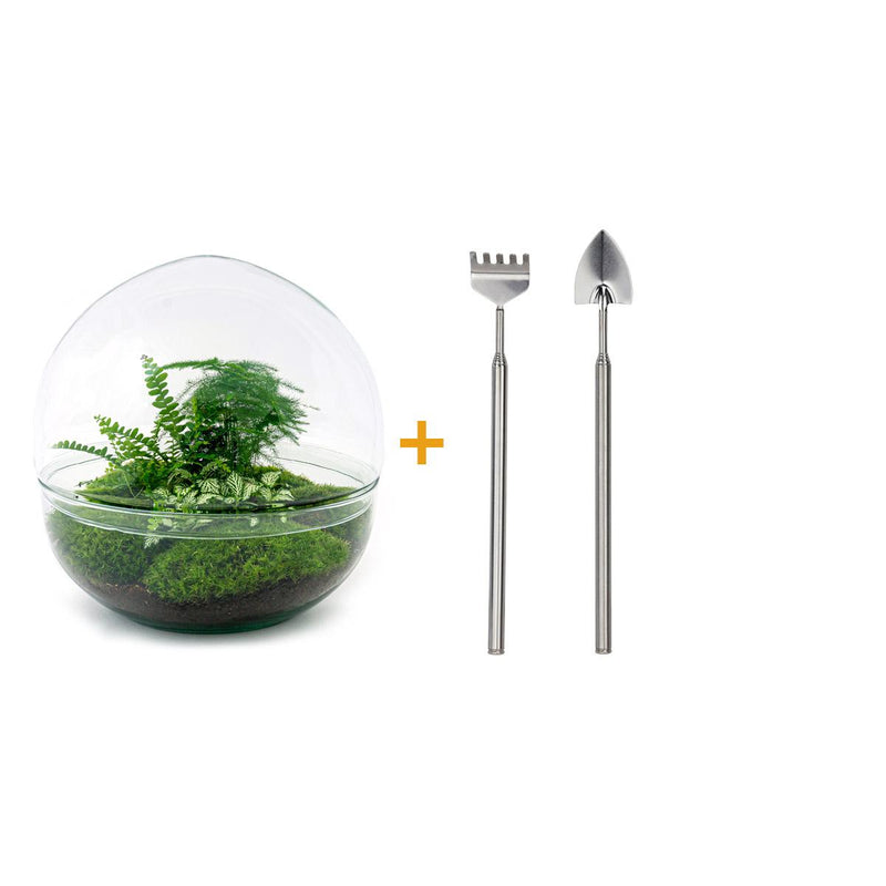 Bottle Garden Dome XL - DIY Mini Ecosystem 30cm