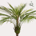 Kunstpalme Chamaedorea Elegans, Bergpalme, 85 cm Bild 3