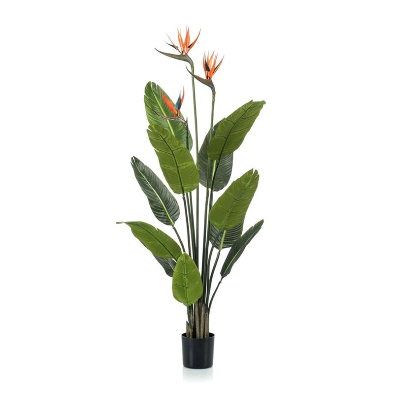 Künstliche Strelitzia (Paradiesvogelblume) 120 cm, orange Blüten, schwarzer Topf