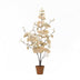 Artificial Eucalyptus White, 86cm – Timeless Decoration Without Maintenance Bild 1