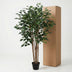 Künstlicher Ficus Benjamina (150 cm) – Pflegeleicht & Immergrün Bild 6