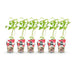 GreenboutiQ Himbeere 'Ottawa' - 6 winterharte Pflanzen im Topf Bild 2