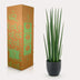 Artificial Sansevieria Cylindrica - Snake Plant, 70 cm Bild 5
