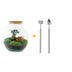 Flaschengarten - Teddy-Bonsai - ↕ 26,5 cm - Rechen + Schaufel Bild 1