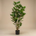Artificial plant Polyscias tree, 105 cm Bild 3