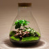 Flaschengarten Sam Calathea: Autarkes Mini-Biotop mit LED-Lampe Bild 4