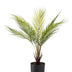 Kunstpalme Chamaedorea Elegans Bergpalme 50cm Bild 1