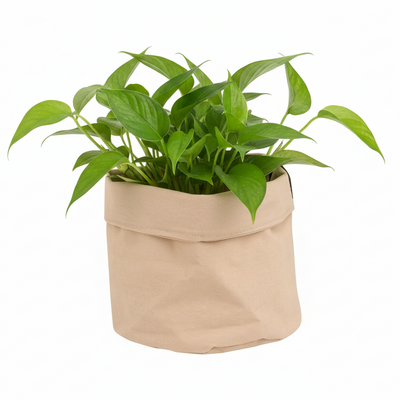 Plant bag Old Rose D22: Robust, breathable, stylish