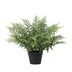 Künstliche Nephrolepis exaltata - 59cm - Tropisches Grün ohne Pflege Bild 1