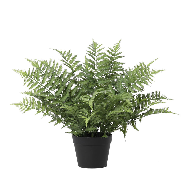 Künstliche Nephrolepis exaltata - 59cm - Tropisches Grün ohne Pflege