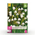 GreenboutiQ - Flower bulbs - Leucojum Aestivum - Bulbs Hardy Perennial - Color White - 20 pieces - Bulb size 8/9 - XXL Pack Bild 1