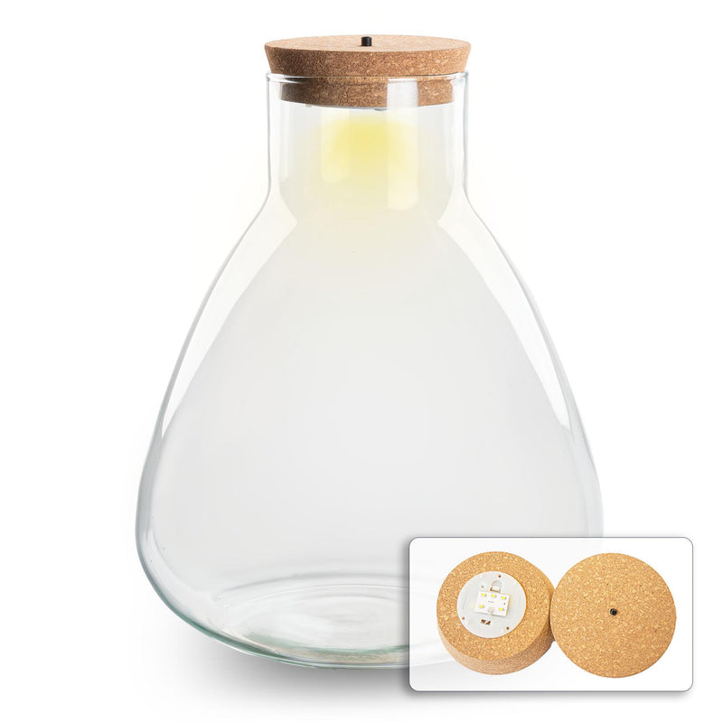 Terrariumflasche mit Beleuchtung - Sam - Ø 24,5 cm ↑ 30 cm
