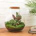 Bottle Garden 'Teddy' with Accessories (26.5 cm) Bild 3