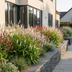 Green boutiQ - Perennial - Persicaria Tricolour - Knotweed - Shade - Red - Pink - White - 12 Plants - Pot 11cm - Height 15-25cm Bild 7