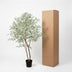 Kunst Ficus benjamina variegata 185cm - Künstliche Pflanze Bild 6