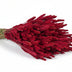 Dried Wheat (Triticum) - Red, 4 Bunches, 60cm Bild 1