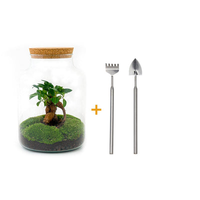 Flaschengarten DIY-Set: Bonsai, Moos & alles für Ihr Mini-Biotop