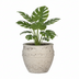 Topf Athena S Kreideweiß - 29x24cm – Eleganter Pflanzentopf Bild 3