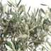 Olea - Ø19cm - ↕90cm Bild 3
