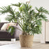 Jip Natur XL Seagrass Planter - Light Brown, Handmade Bild 3