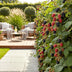 Dornlose Brombeere 'Thornfree' - Winterhart, 6er Set Bild 6
