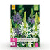 GreenboutiQ Camassia Leichtlinii Mix - Lila & Weiß Blumenzwiebeln - 5 Stück Bild 1
